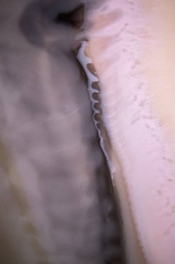 Renkli soyut epoksi reçine resminin makro fotoğrafı. Tasarım kapağı, yıllık rapor, davetiye, broşür, sunum, ambalaj, poster, kartvizit, düğün davetiyesi.