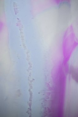 Renkli soyut epoksi reçine resminin makro fotoğrafı. Tasarım kapağı, yıllık rapor, davetiye, el ilanı, sunum, ambalaj, poster, kartvizit, düğün davetiyesi için başvurulabilir. Modern sancak için modern sıvı sanat, ruhani grafik tasarım.