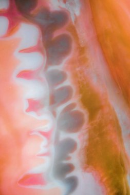 Renkli soyut epoksi reçine resminin makro fotoğrafı. Tasarım kapağı, yıllık rapor, davetiye, el ilanı, sunum, ambalaj, poster, kartvizit, düğün davetiyesi için başvurulabilir. Modern sancak için modern sıvı sanat, ruhani grafik tasarım.