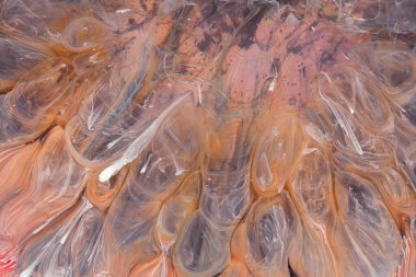  Soyut renkli arka plan, duvar kağıdı. Mermer dokusu. Sıvı Sanat, ruhani grafik tasarımı.