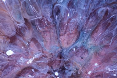  Soyut renkli arka plan, duvar kağıdı. Mermer dokusu. Sıvı Sanat, ruhani grafik tasarımı.