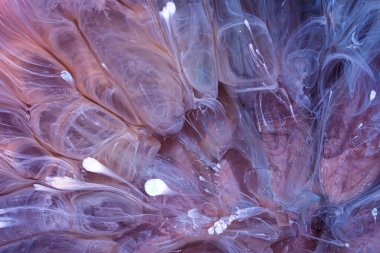  Soyut renkli arka plan, duvar kağıdı. Mermer dokusu. Sıvı Sanat, ruhani grafik tasarımı.