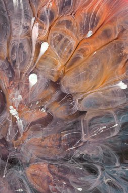  Soyut renkli arka plan, duvar kağıdı. Mermer dokusu. Sıvı Sanat, ruhani grafik tasarımı.