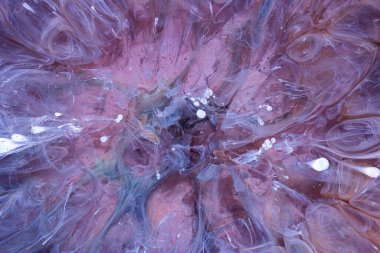  Soyut renkli arka plan, duvar kağıdı. Mermer dokusu. Sıvı Sanat, ruhani grafik tasarımı.