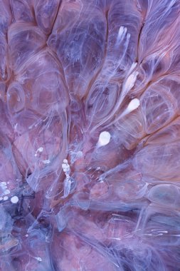  Soyut renkli arka plan, duvar kağıdı. Mermer dokusu. Sıvı Sanat, ruhani grafik tasarımı.