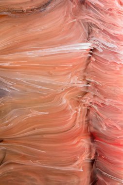  Soyut renkli arka plan, duvar kağıdı. Mermer dokusu. Sıvı Sanat, ruhani grafik tasarımı.