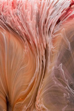  Soyut renkli arka plan, duvar kağıdı. Mermer dokusu. Sıvı Sanat, ruhani grafik tasarımı.