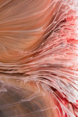  Soyut renkli arka plan, duvar kağıdı. Mermer dokusu. Sıvı Sanat, ruhani grafik tasarımı.