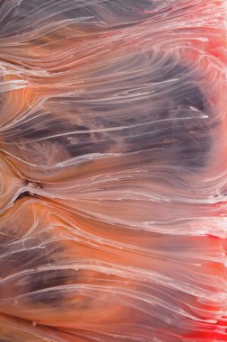  Soyut renkli arka plan, duvar kağıdı. Mermer dokusu. Sıvı Sanat, ruhani grafik tasarımı.