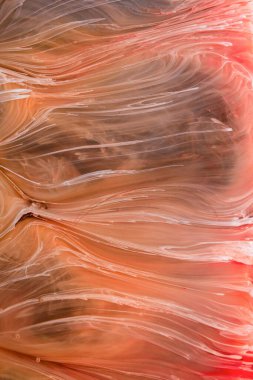  Soyut renkli arka plan, duvar kağıdı. Mermer dokusu. Sıvı Sanat, ruhani grafik tasarımı.