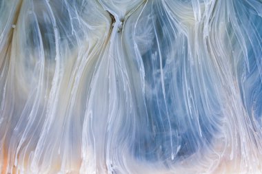  Soyut renkli arka plan, duvar kağıdı. Mermer dokusu. Sıvı Sanat, ruhani grafik tasarımı.