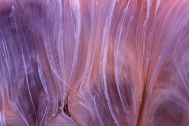  Soyut renkli arka plan, duvar kağıdı. Mermer dokusu. Sıvı Sanat, ruhani grafik tasarımı.