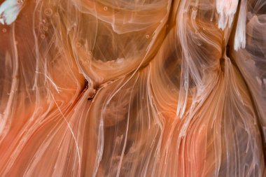  Soyut renkli arka plan, duvar kağıdı. Mermer dokusu. Sıvı Sanat, ruhani grafik tasarımı.