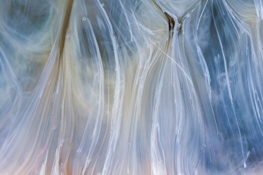  Soyut renkli arka plan, duvar kağıdı. Mermer dokusu. Sıvı Sanat, ruhani grafik tasarımı.