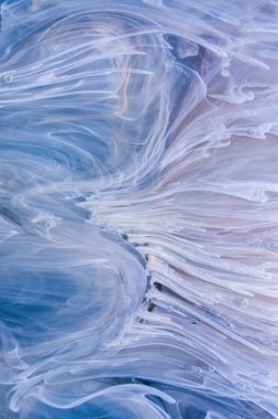  Soyut renkli arka plan, duvar kağıdı. Mermer dokusu. Sıvı Sanat, ruhani grafik tasarımı.