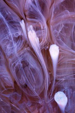  Soyut renkli arka plan, duvar kağıdı. Mermer dokusu. Sıvı Sanat, ruhani grafik tasarımı.