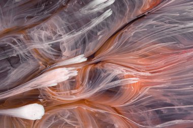  Soyut renkli arka plan, duvar kağıdı. Mermer dokusu. Sıvı Sanat, ruhani grafik tasarımı.