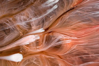  Soyut renkli arka plan, duvar kağıdı. Mermer dokusu. Sıvı Sanat, ruhani grafik tasarımı.