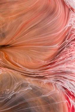  Soyut renkli arka plan, duvar kağıdı. Mermer dokusu. Sıvı Sanat, ruhani grafik tasarımı.