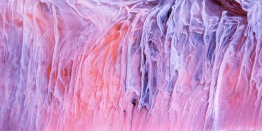  Soyut renkli arka plan, duvar kağıdı. Mermer dokusu. Sıvı Sanat, ruhani grafik tasarımı.