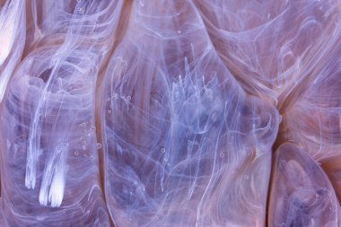  Soyut renkli arka plan, duvar kağıdı. Mermer dokusu. Sıvı Sanat, ruhani grafik tasarımı.