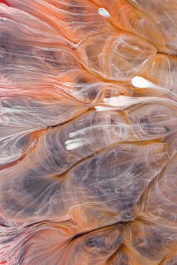  Soyut renkli arka plan, duvar kağıdı. Mermer dokusu. Sıvı Sanat, ruhani grafik tasarımı.