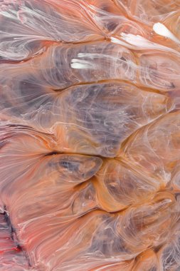  Soyut renkli arka plan, duvar kağıdı. Mermer dokusu. Sıvı Sanat, ruhani grafik tasarımı.