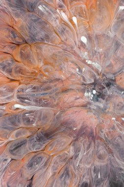  Soyut renkli arka plan, duvar kağıdı. Mermer dokusu. Sıvı Sanat, ruhani grafik tasarımı.