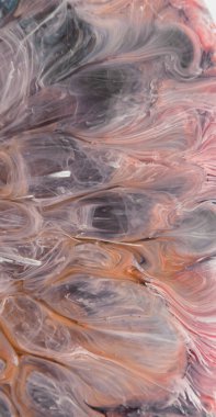  Soyut renkli arka plan, duvar kağıdı. Mermer dokusu. Sıvı Sanat, ruhani grafik tasarımı.