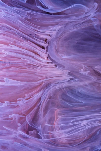  Soyut renkli arka plan, duvar kağıdı. Mermer dokusu. Sıvı Sanat, ruhani grafik tasarımı.