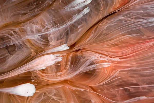  Soyut renkli arka plan, duvar kağıdı. Mermer dokusu. Sıvı Sanat, ruhani grafik tasarımı.