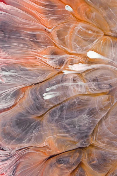  Soyut renkli arka plan, duvar kağıdı. Mermer dokusu. Sıvı Sanat, ruhani grafik tasarımı.