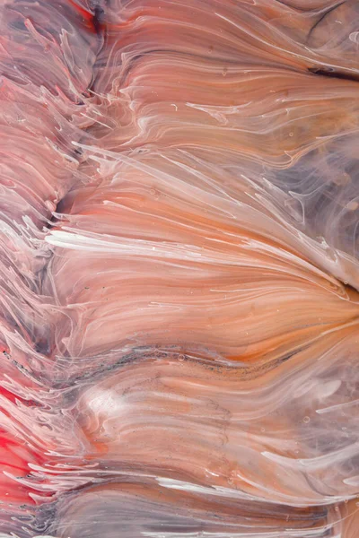  Soyut renkli arka plan, duvar kağıdı. Mermer dokusu. Sıvı Sanat, ruhani grafik tasarımı.