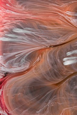  Soyut renkli arka plan, duvar kağıdı. Mermer dokusu. Sıvı Sanat, ruhani grafik tasarımı.