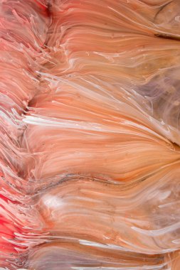  Soyut renkli arka plan, duvar kağıdı. Mermer dokusu. Sıvı Sanat, ruhani grafik tasarımı.