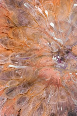  Soyut renkli arka plan, duvar kağıdı. Mermer dokusu. Sıvı Sanat, ruhani grafik tasarımı.