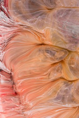  Soyut renkli arka plan, duvar kağıdı. Mermer dokusu. Sıvı Sanat, ruhani grafik tasarımı.