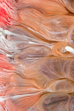  Soyut renkli arka plan, duvar kağıdı. Mermer dokusu. Sıvı Sanat, ruhani grafik tasarımı.