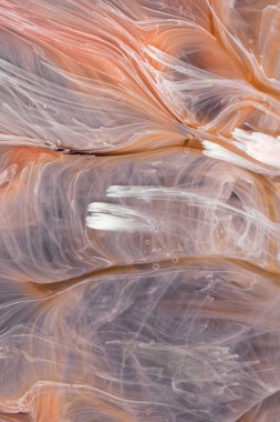  Soyut renkli arka plan, duvar kağıdı. Mermer dokusu. Sıvı Sanat, ruhani grafik tasarımı.