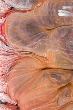  Soyut renkli arka plan, duvar kağıdı. Mermer dokusu. Sıvı Sanat, ruhani grafik tasarımı.