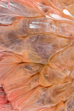  Soyut renkli arka plan, duvar kağıdı. Mermer dokusu. Sıvı Sanat, ruhani grafik tasarımı.