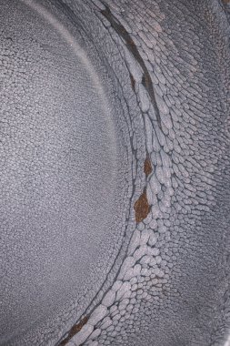 Dramatik siyah, tek renkli soyutlama, ejderha pullarını ya da kek lavlarını anımsatıyor, koyu gri, gümüş ve bronz aksanlarla parıldıyor. Alkolik mürekkep birbirine karışıyor. Modern bir sanat eserinin parçası..