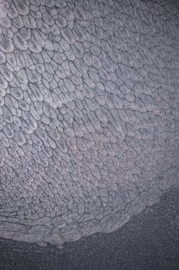 Dramatik siyah, tek renkli soyutlama, ejderha pullarını ya da kek lavlarını anımsatıyor, koyu gri, gümüş ve bronz aksanlarla parıldıyor. Alkolik mürekkep birbirine karışıyor. Modern bir sanat eserinin parçası..