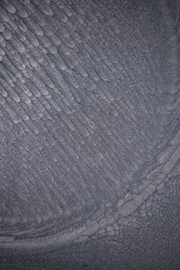 Dramatik siyah, tek renkli soyutlama, ejderha pullarını ya da kek lavlarını anımsatıyor, koyu gri, gümüş ve bronz aksanlarla parıldıyor. Alkolik mürekkep birbirine karışıyor. Modern bir sanat eserinin parçası..