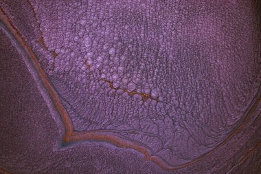 Dramatik siyah, tek renkli soyutlama, ejderha pullarını anımsatma ya da kekli lav, parıltı. Modern bir sanat eserinin parçası. Nefes nefese kalmanın en küçük detayının makro fotoğrafçılığı. Çağdaş sanat. Sanatsal arkaplan resmi.