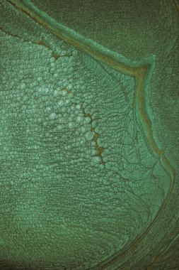 Dramatik siyah, tek renkli soyutlama, ejderha pullarını anımsatma ya da kekli lav, parıltı. Modern bir sanat eserinin parçası. Nefes nefese kalmanın en küçük detayının makro fotoğrafçılığı. Çağdaş sanat. Sanatsal arkaplan resmi.