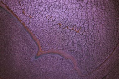 Dramatik siyah, tek renkli soyutlama, ejderha pullarını anımsatma ya da kekli lav, parıltı. Modern bir sanat eserinin parçası. Nefes nefese kalmanın en küçük detayının makro fotoğrafçılığı. Çağdaş sanat. Sanatsal arkaplan resmi.