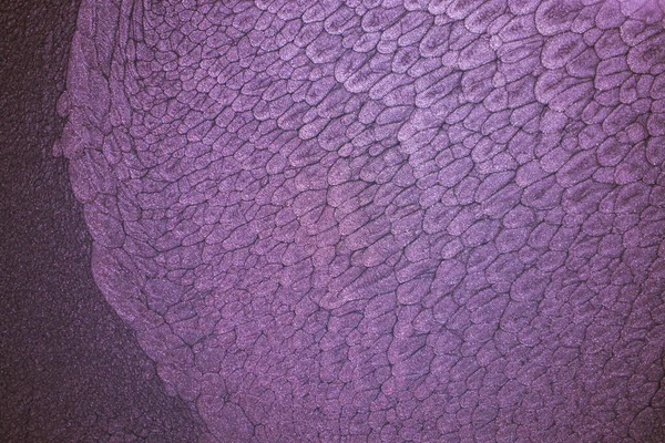 Preto Dramático Abstração Monocromática Reminiscente Escamas Dragão Lava Bolada Cintilante — Fotografia de Stock
