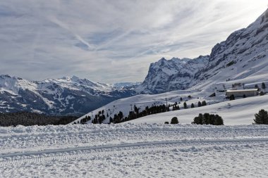 Avrupa 'dan Manzara Görünümü, Jungfraujoch, İsviçre