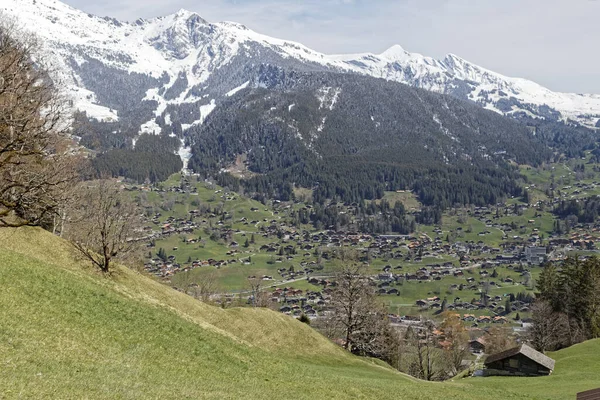 Grindelwald Dorp Omgeven Door Grote Natuur Eiger Mnch Alpen Bergen — Stockfoto